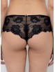 Stretch Lace Shorts - Deluxe